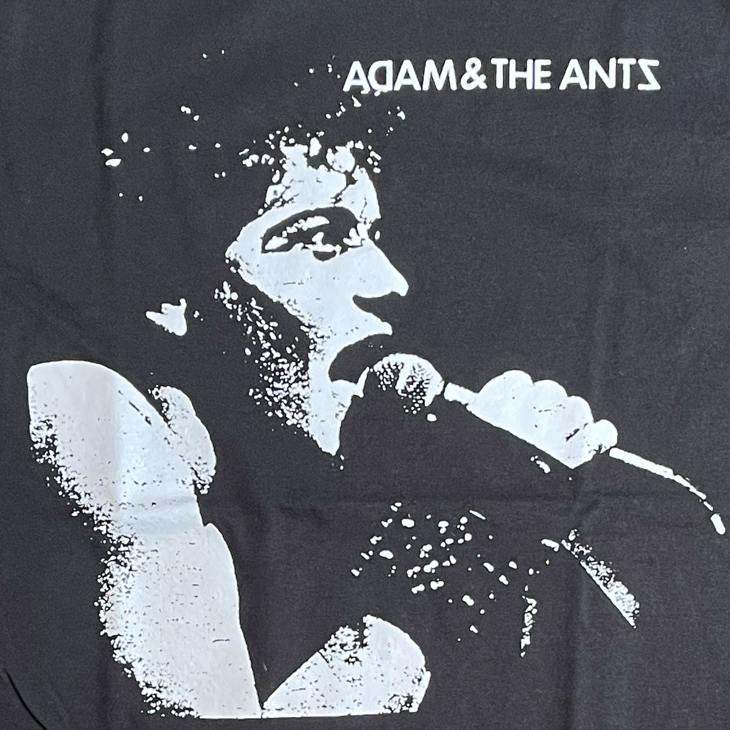 ADAM AND THE ANTS Tシャツ