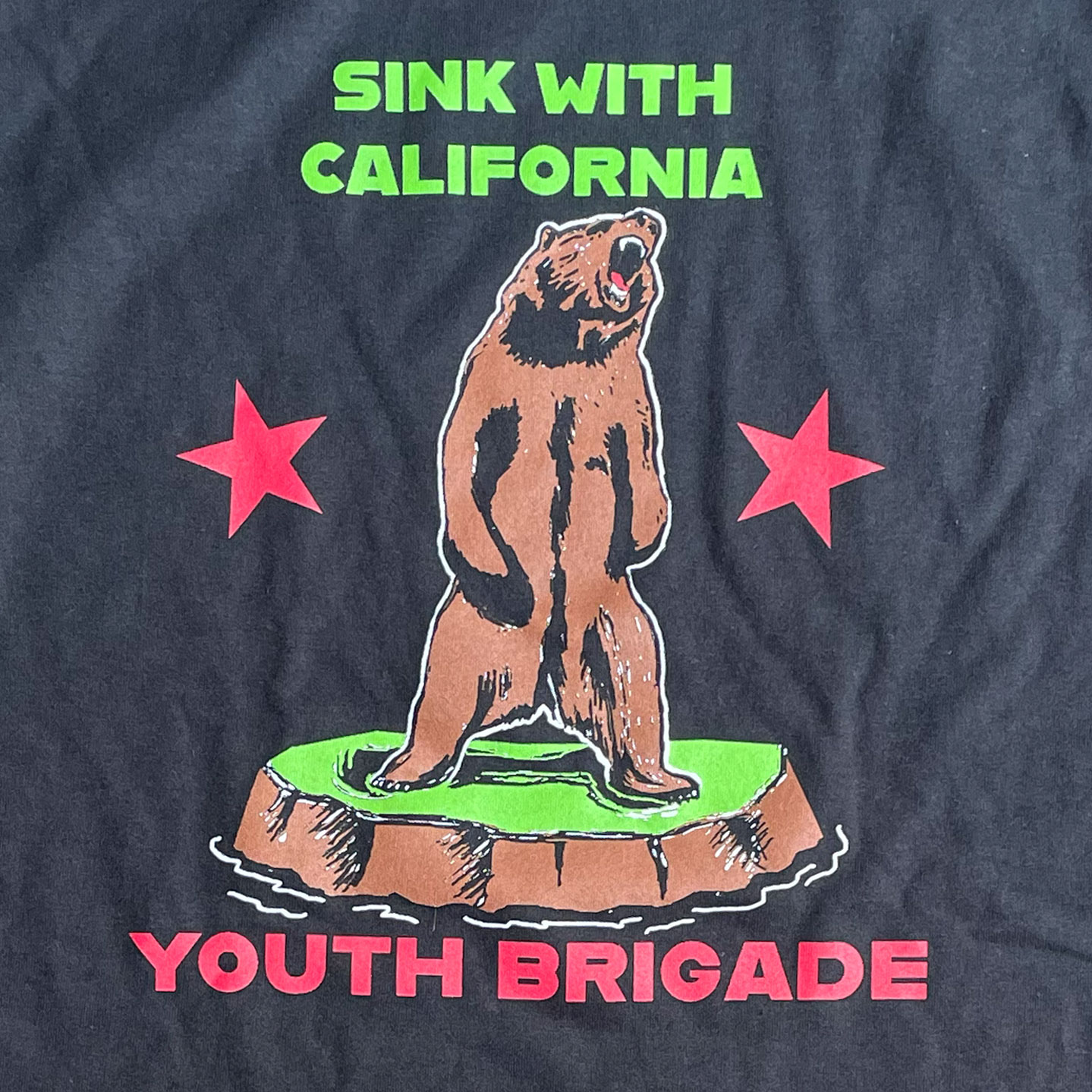 YOUTH BRIGADE Tシャツ Sink With California オフィシャル！