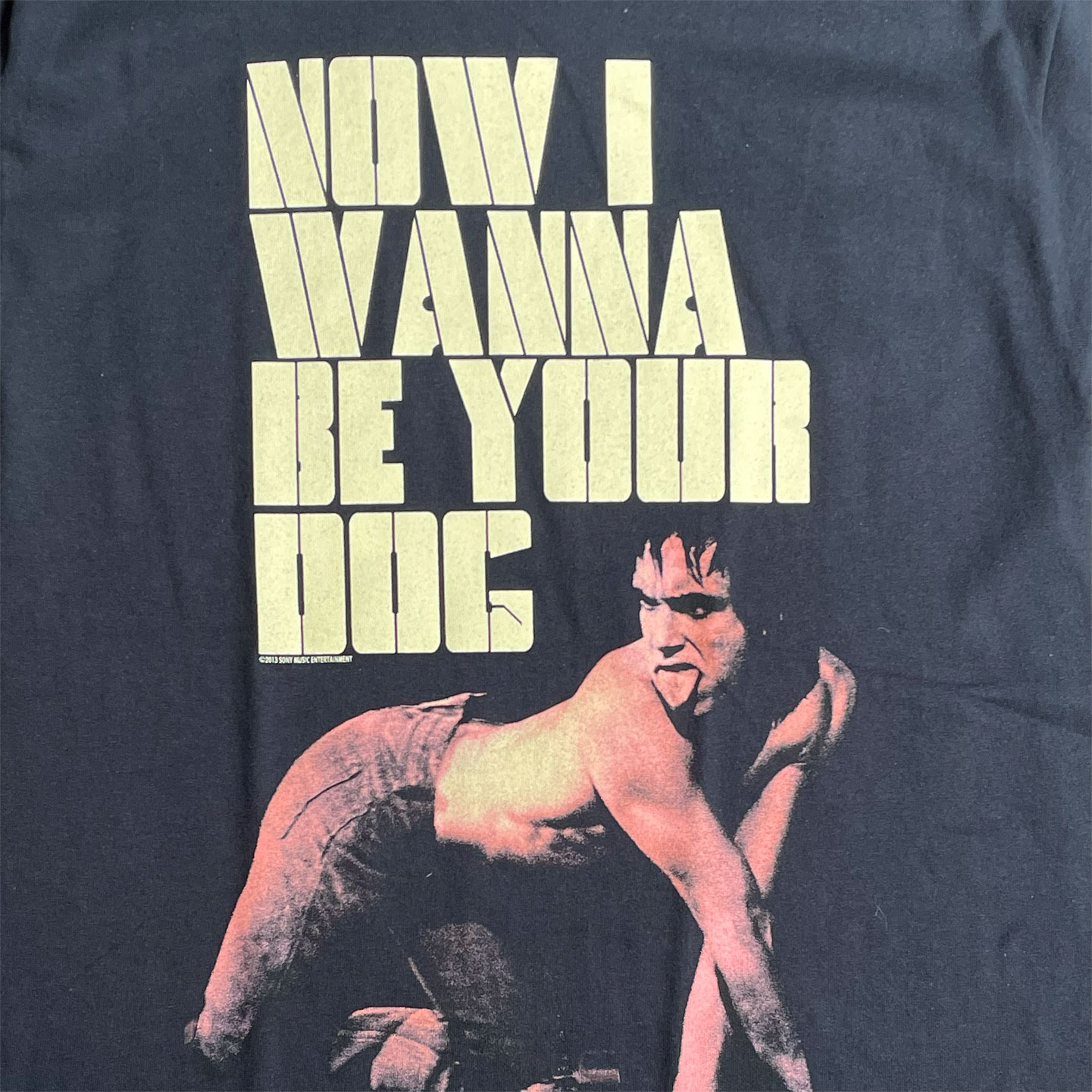 IGGY AND THE STOOGES Tシャツ Wanna Be Your Dog オフィシャル！