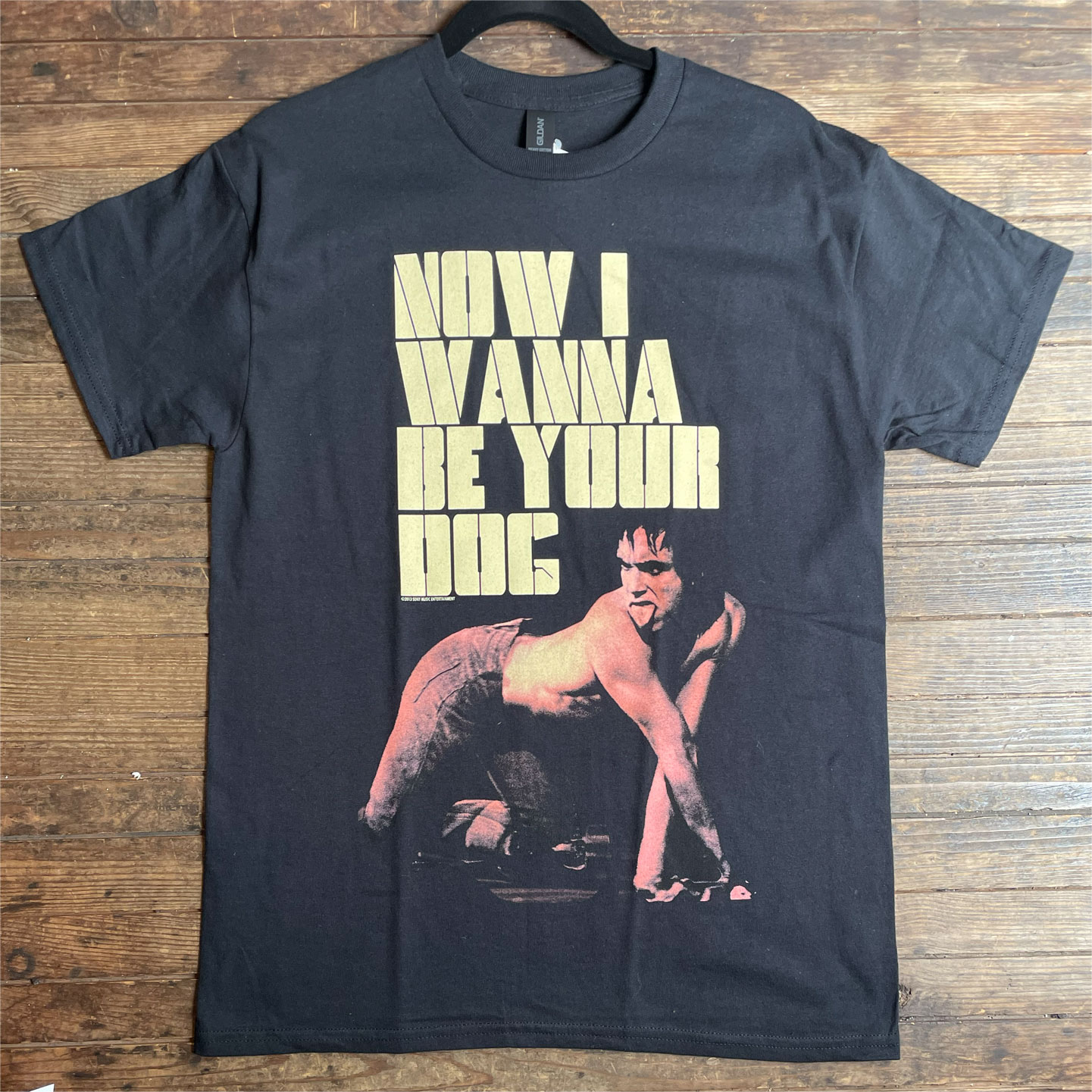 IGGY AND THE STOOGES Tシャツ Wanna Be Your Dog オフィシャル！