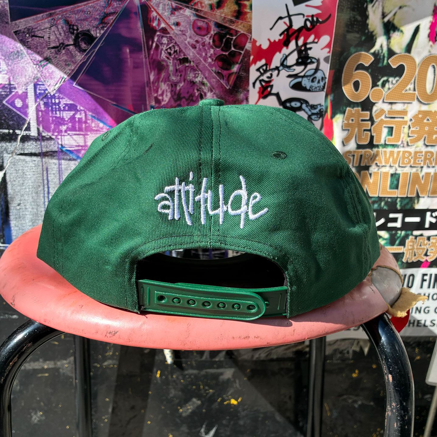 IMAGE 1