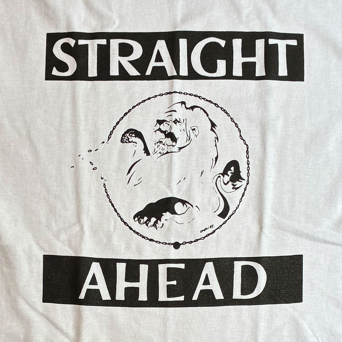 STRAIGHT AHEAD Tシャツ LOGO オフィシャル！