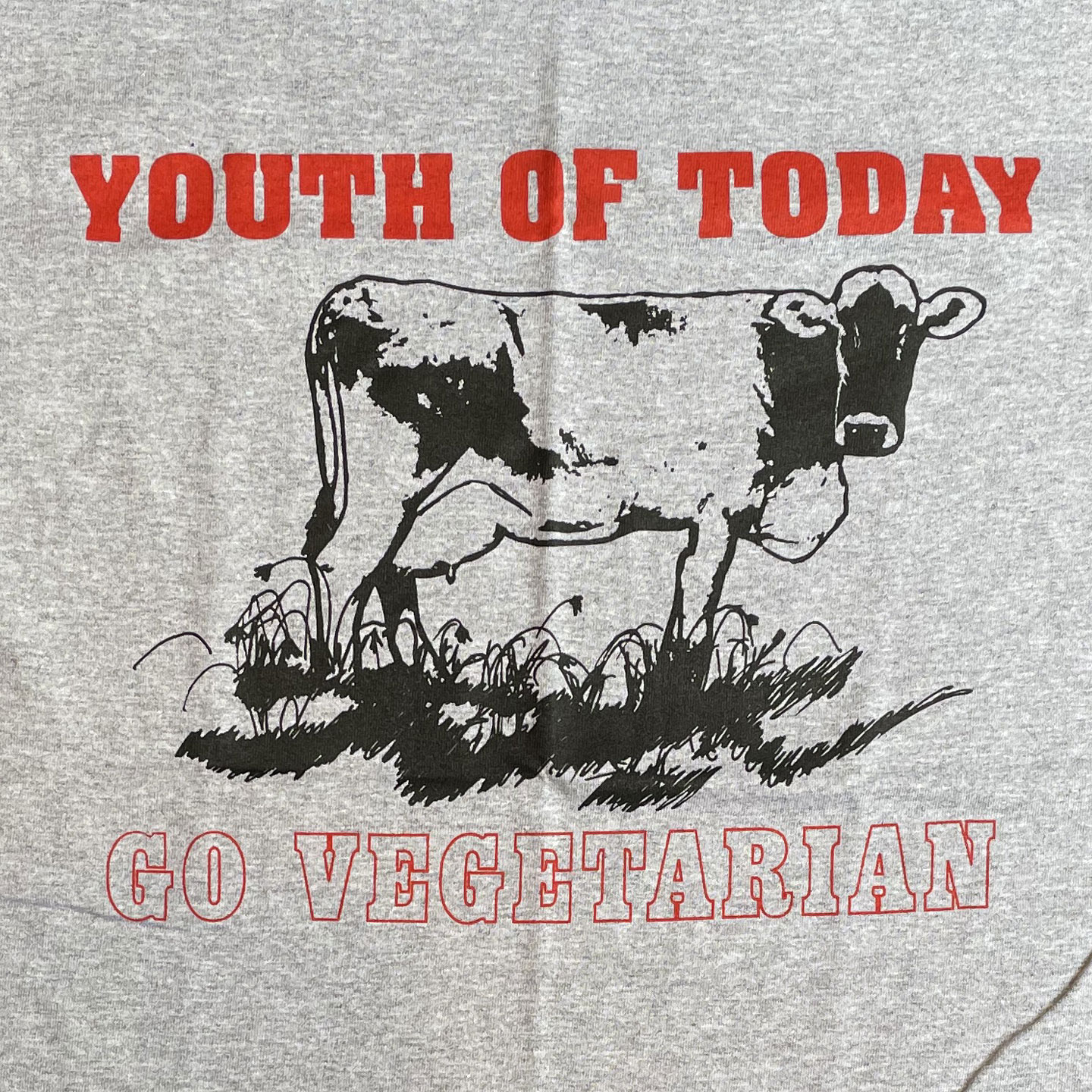 YOUTH OF TODAY Tシャツ GO VEGETALIAN