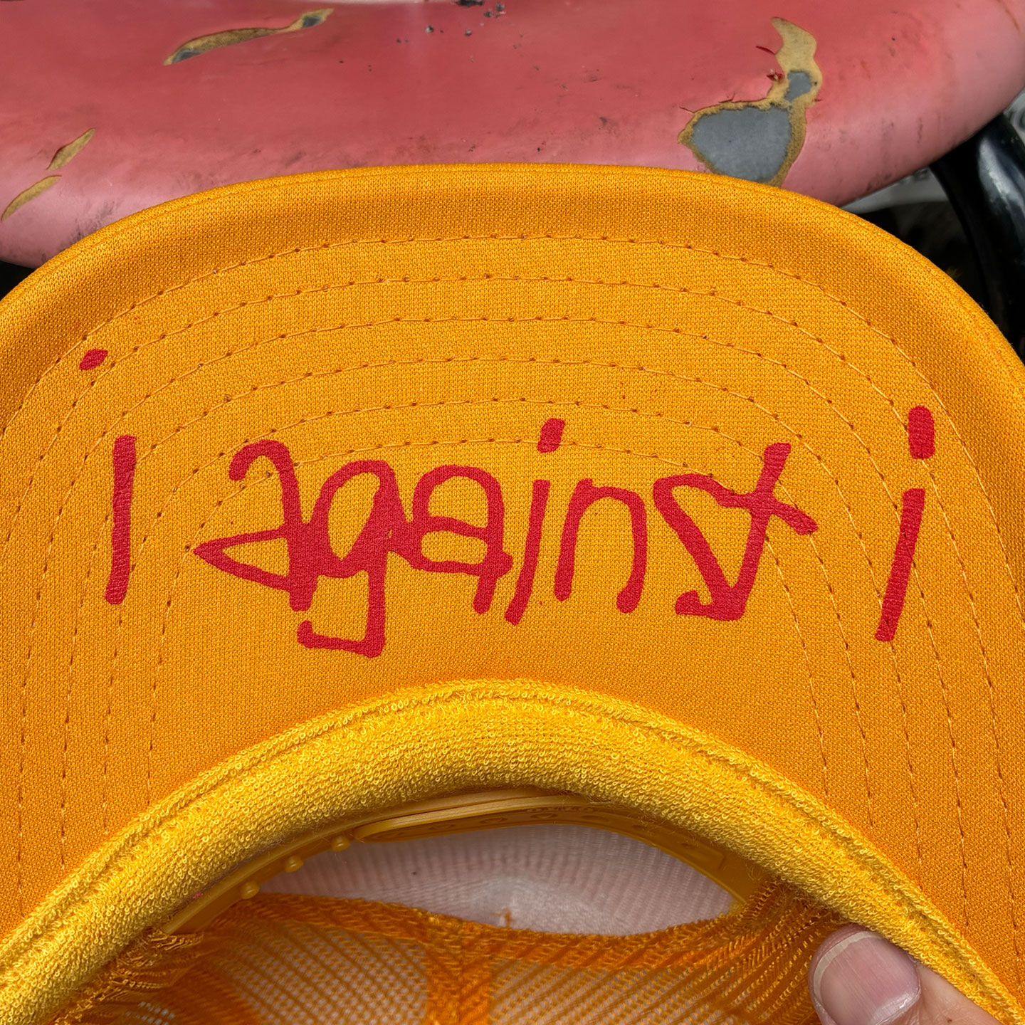 IMAGE 1