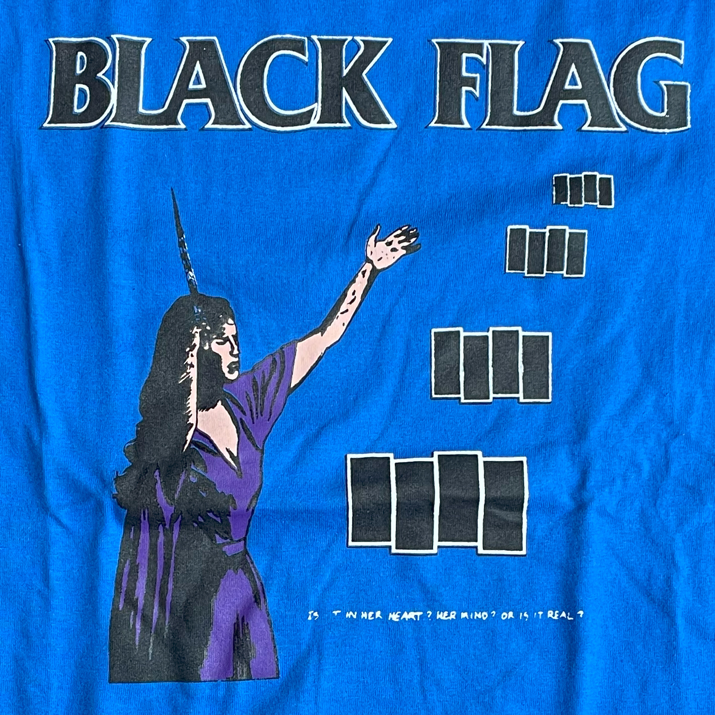 BLACK FLAG Tシャツ ’86 TOUR IN MY HEAD