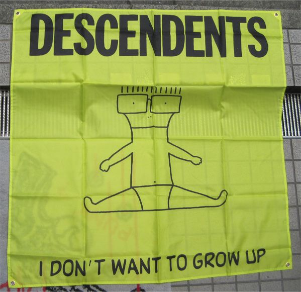 DESCENDENTS FLAG I DON'T WANT TO GLOW UP