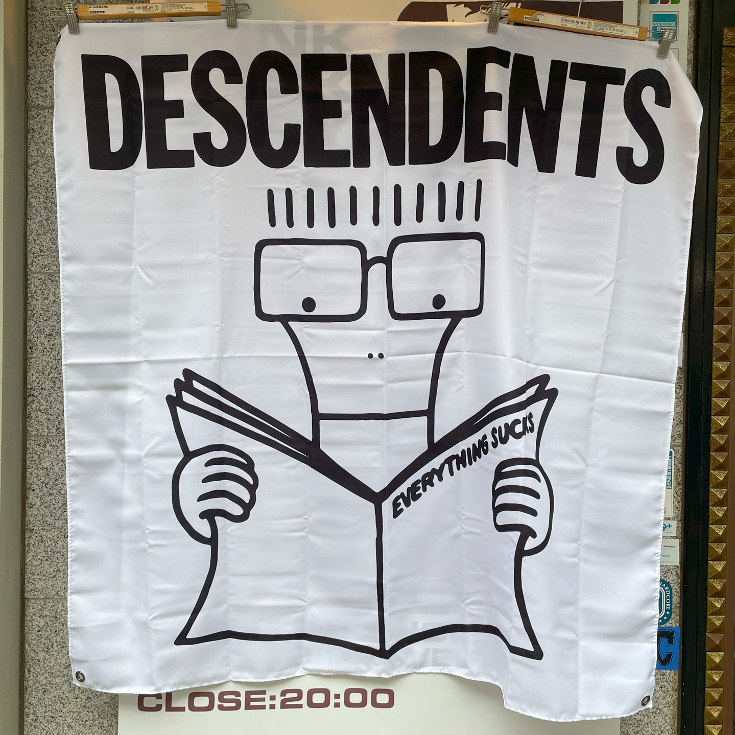DESCENDENTS FLAG EVERYTHING SUCKS