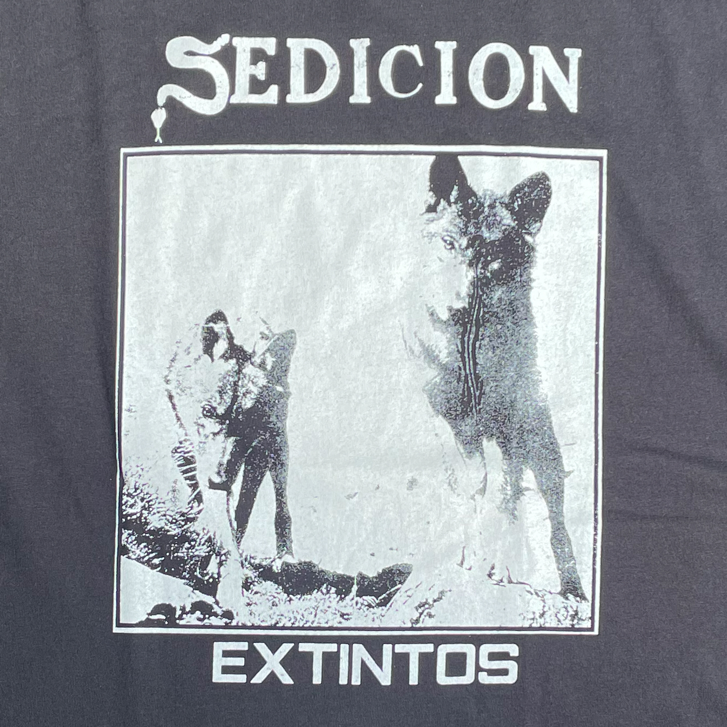 SEDICION Tシャツ EXTINTOS