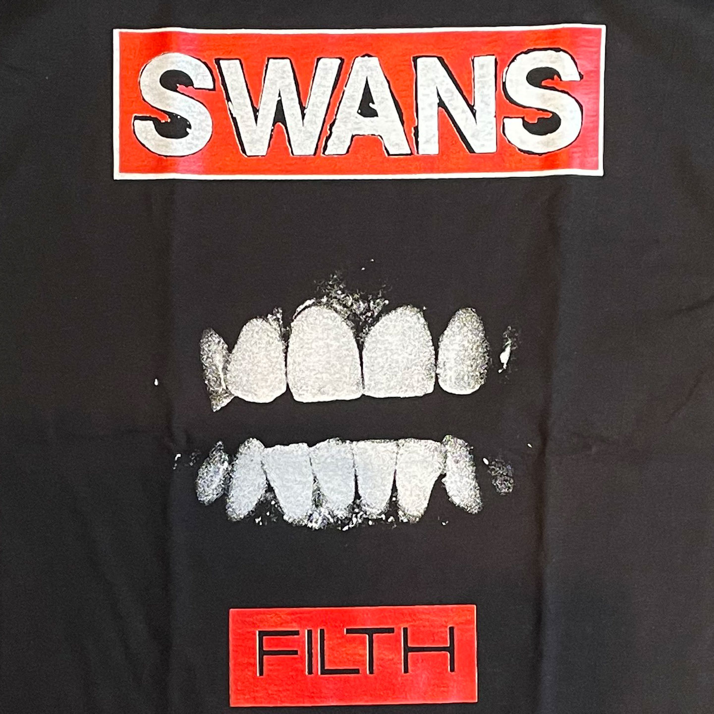 SWANS Tシャツ Filth