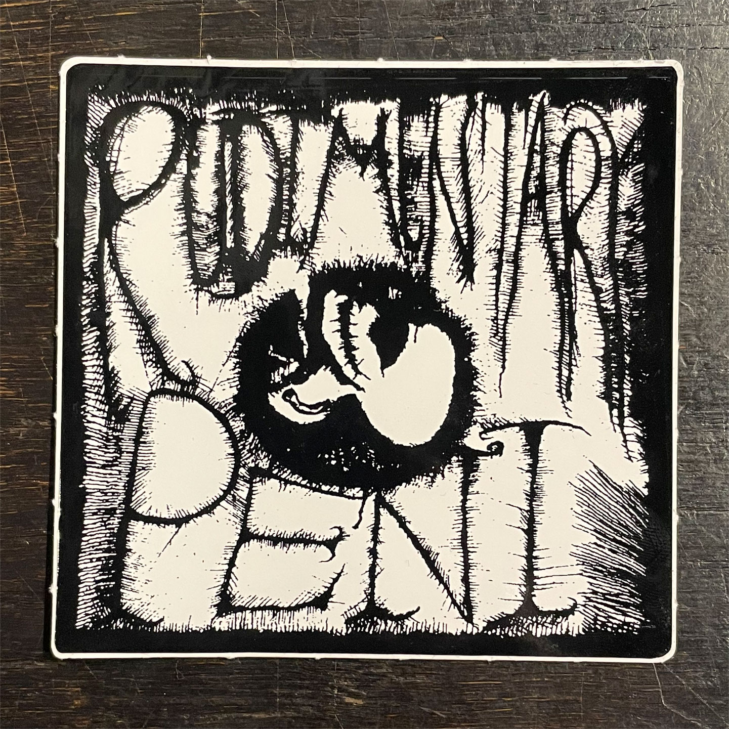 Rudimentary Peni ステッカー EP