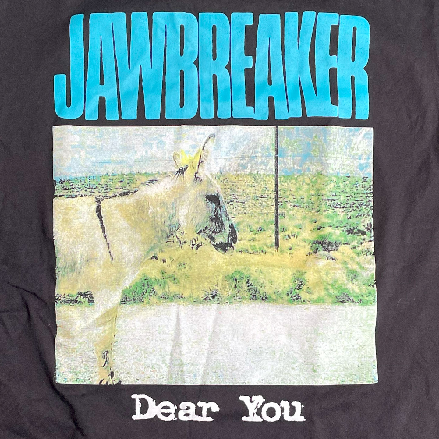 JAWBREAKER Tシャツ Dear You