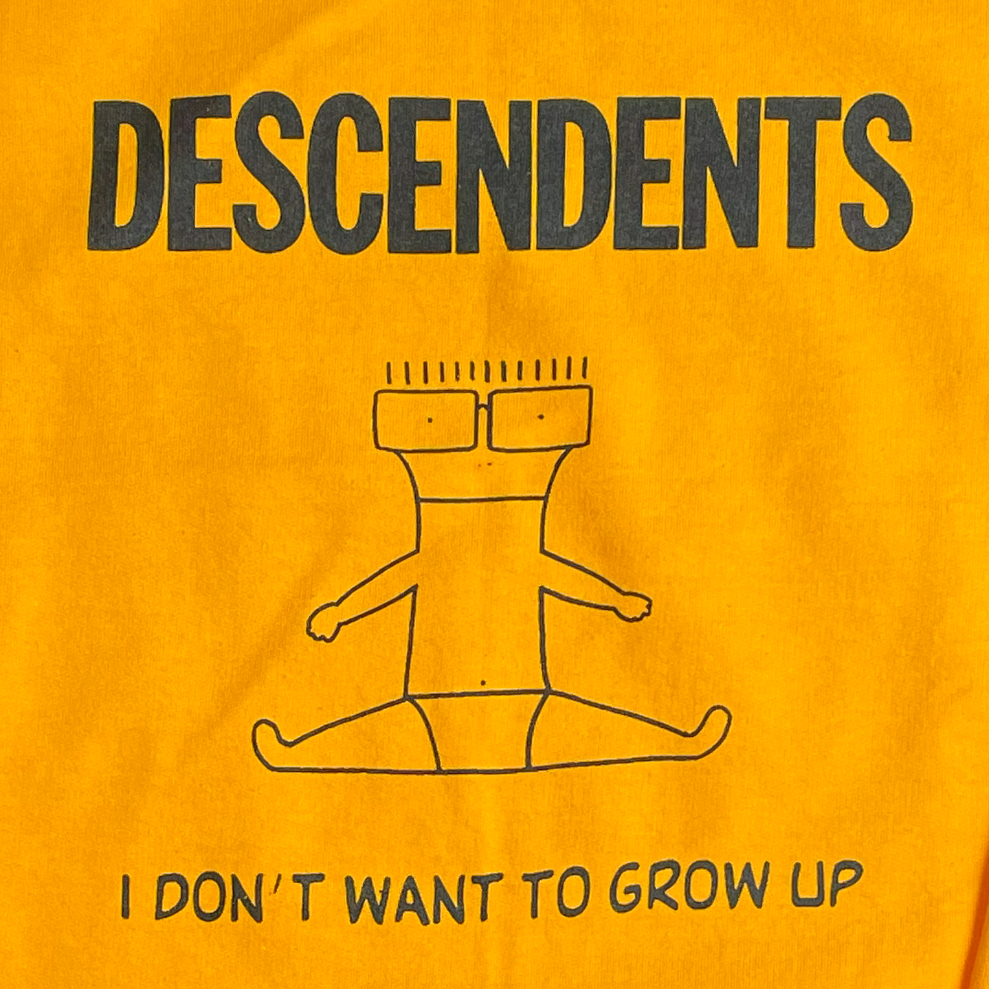 国内盤 FILMAGE THE STORY OF DESCENDENTS DVD Amazon.co.jp: Filmage: The Story of Descendents / All