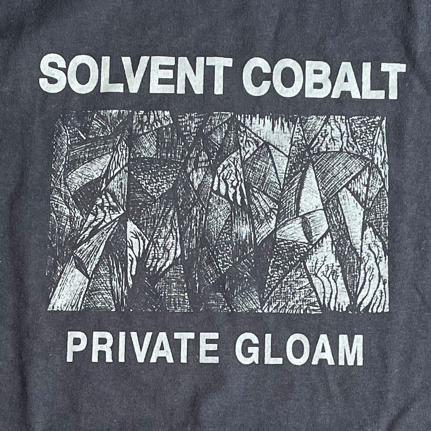 SOLVENT COBALT Tシャツ PRIVATE GLOAM