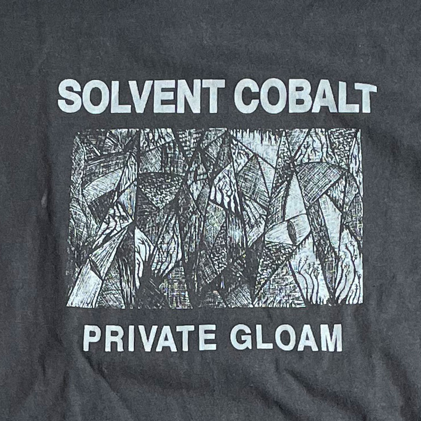 SOLVENT COBALT ロングスリーブTシャツ PRIVATE GLOAM