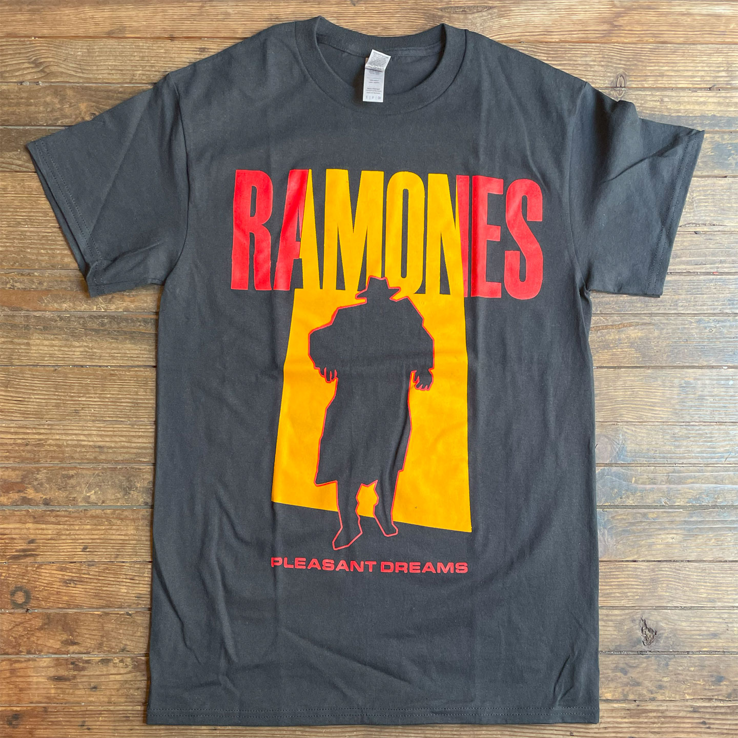 RAMONES Tシャツ Pleasant Dreams