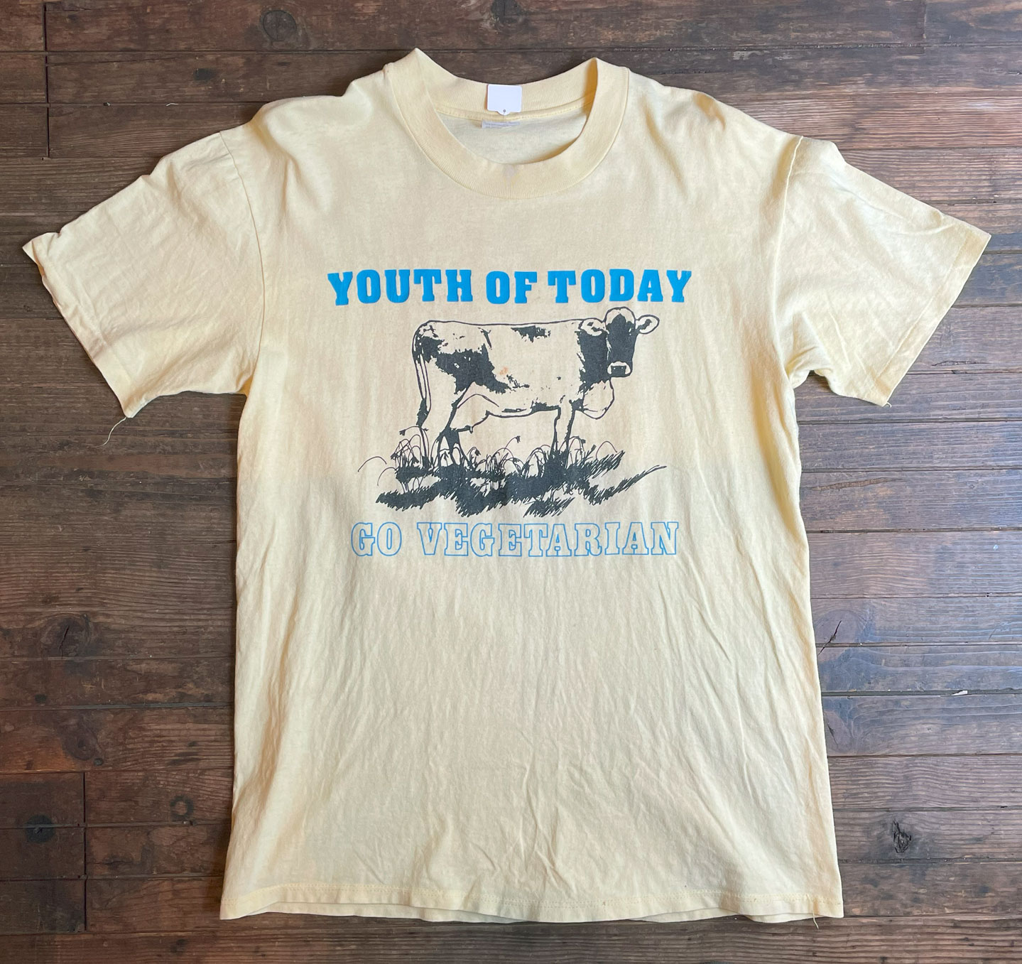 USED! YOUTH OF TODAY Tシャツ VINTAGE！！