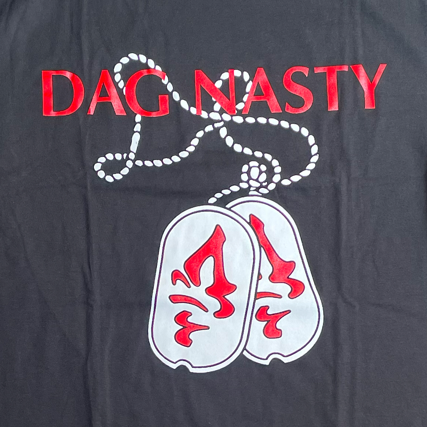 DAG NASTY Tシャツ FIELD DAY TOUR